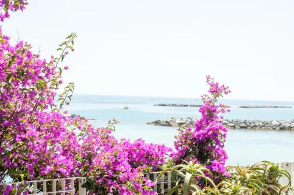 Casa Vacanza Rossella Sanremo Exterior foto